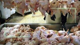 وزارت جهاد کشاورزی کجاست؟