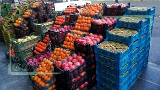 اجرای طرح توزیع میوه شب عید توجیه ندارد