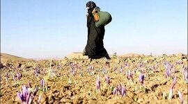 روز جهانی زنان روستایی گرامی باد