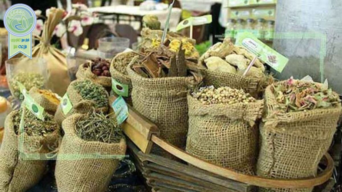 تولید گیاهان دارویی گامی در جهت اصلاح الگوی کشت