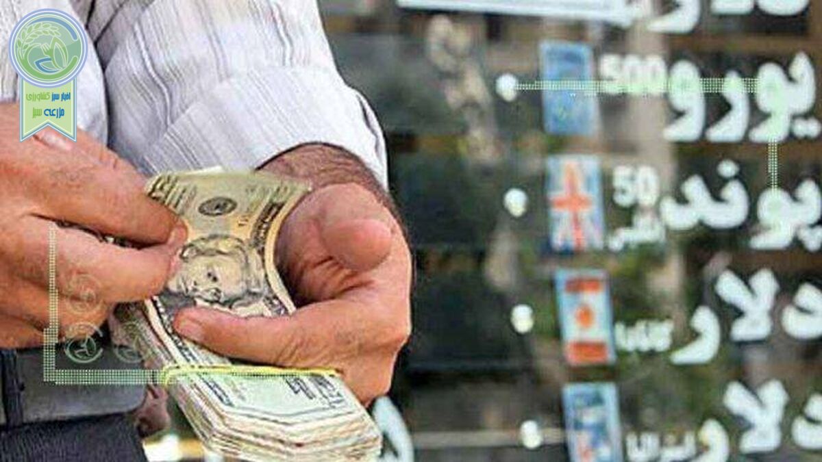 قیمت ارز با حرف کاهش پیدا نمی‌کند