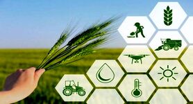 مفهوم کارآفرینی در بخش کشاورزی و موانع اجرایی