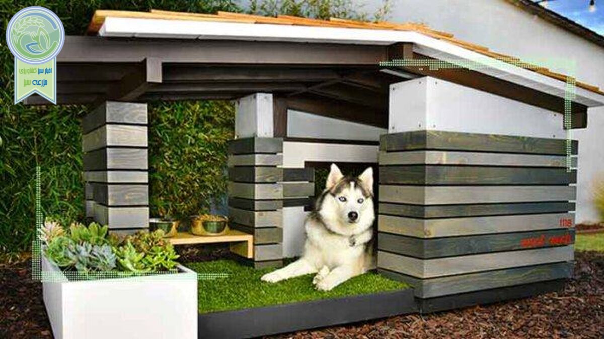 نکاتی درباره باکس حمل سگ و گربه