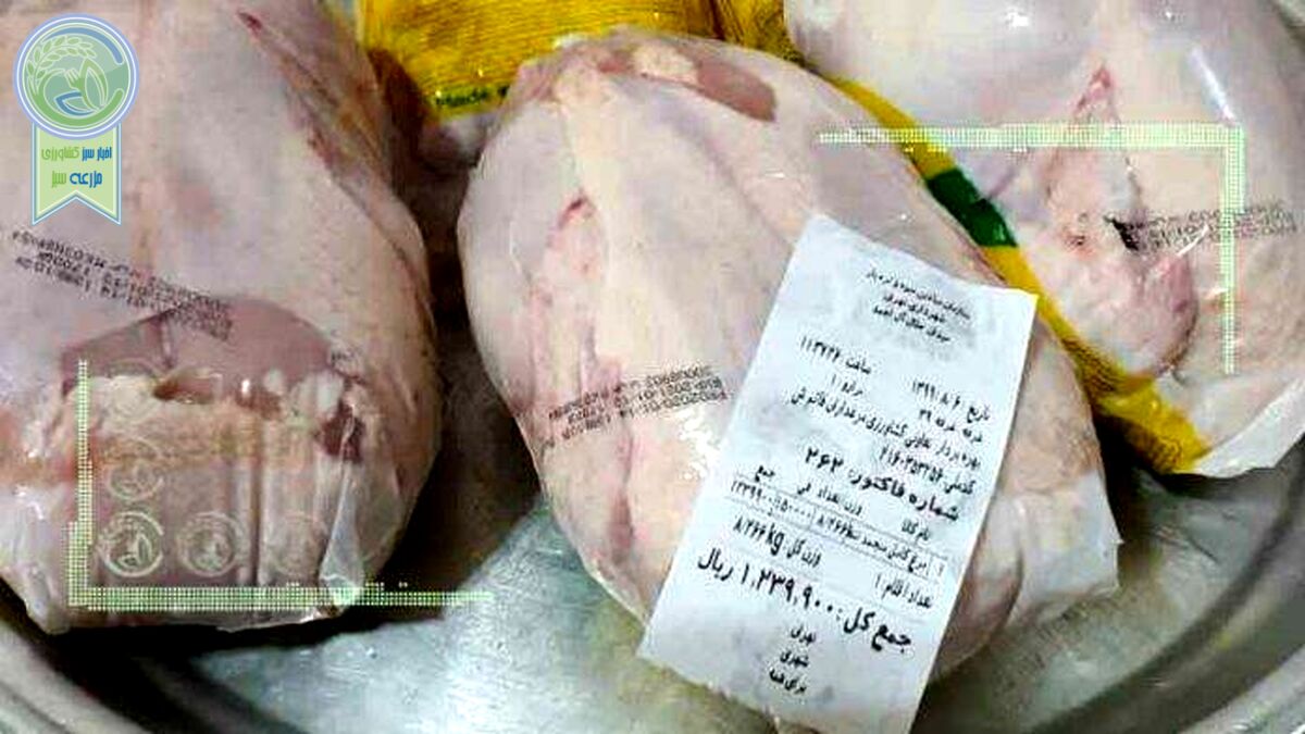 مرغ ارزان شد/ قیمت جدید در میادین و بازار