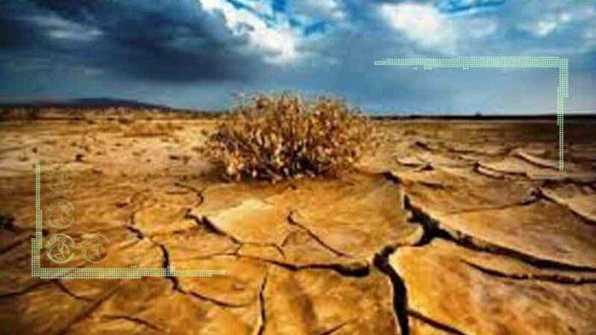 درد و درمان کم آبی در کشاورزی