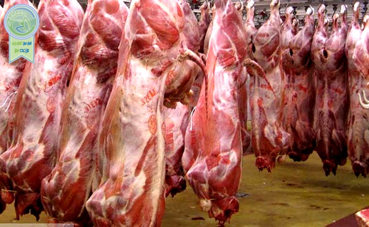 قیمت روز گوشت قرمز در ۲۷ فروردین ۱۴۰۳+ جدول

