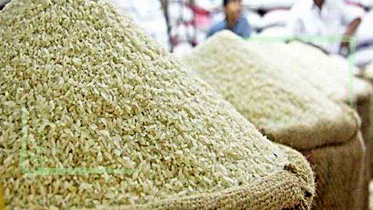  تداوم رکود قیمت برنج در هفته های منتهی به نوروز