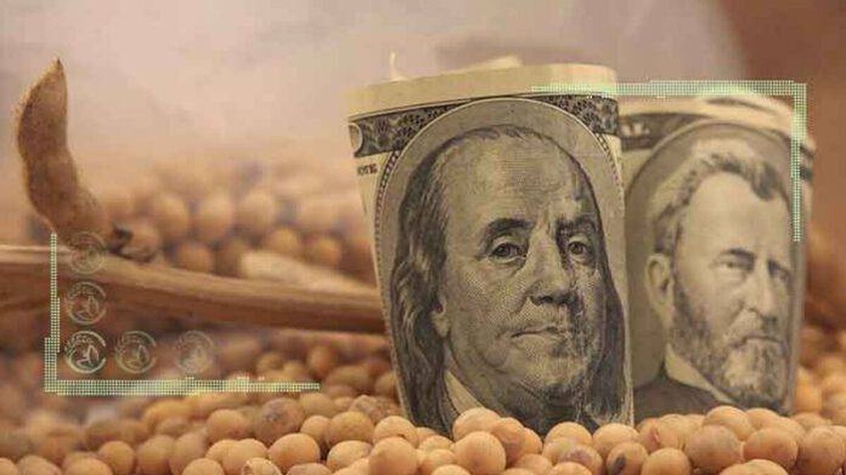 ارز آزاد برای واردات نهاده