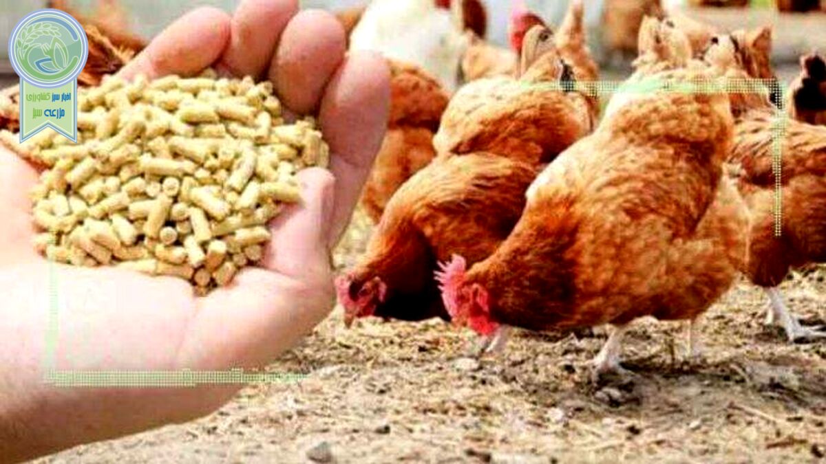 قیمت انواع نهاده های دامی و کشاورزی ۲۴ بهمن ۱۴۰۱