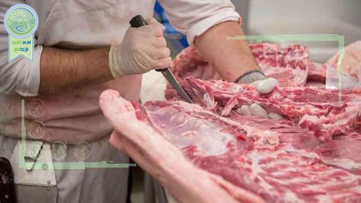 واردات گوشت قرمز تا کاهش قیمت ادامه دارد
