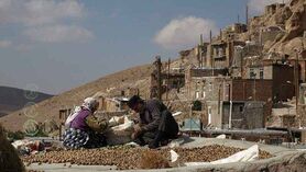بازار معضل تمام تولیدکنندگان روستایی است