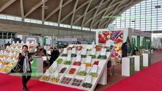نمایشگاه میوه و سبزیجات، تلاشی برای رفع یک مشکل ریشه‌دار