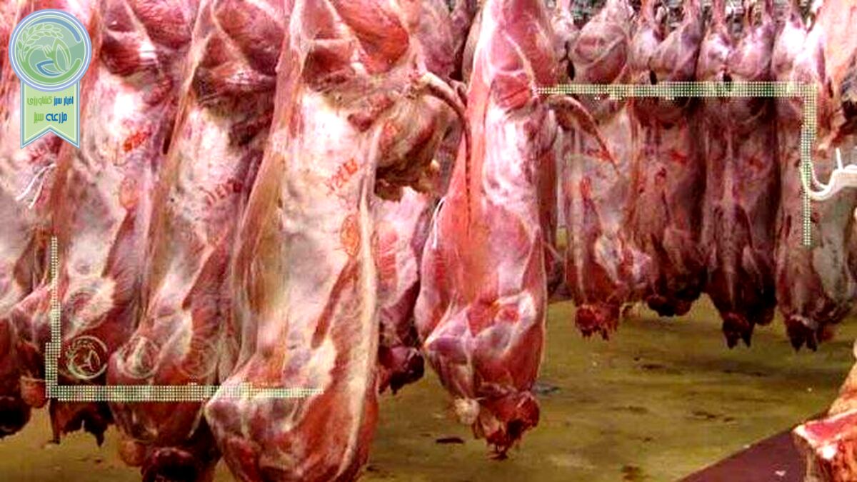 قیمت روز گوشت قرمز در ۱۸ اسفند ۱۴۰۱