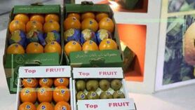 افزایش تجارت ایران و چین در بخش کشاورزی