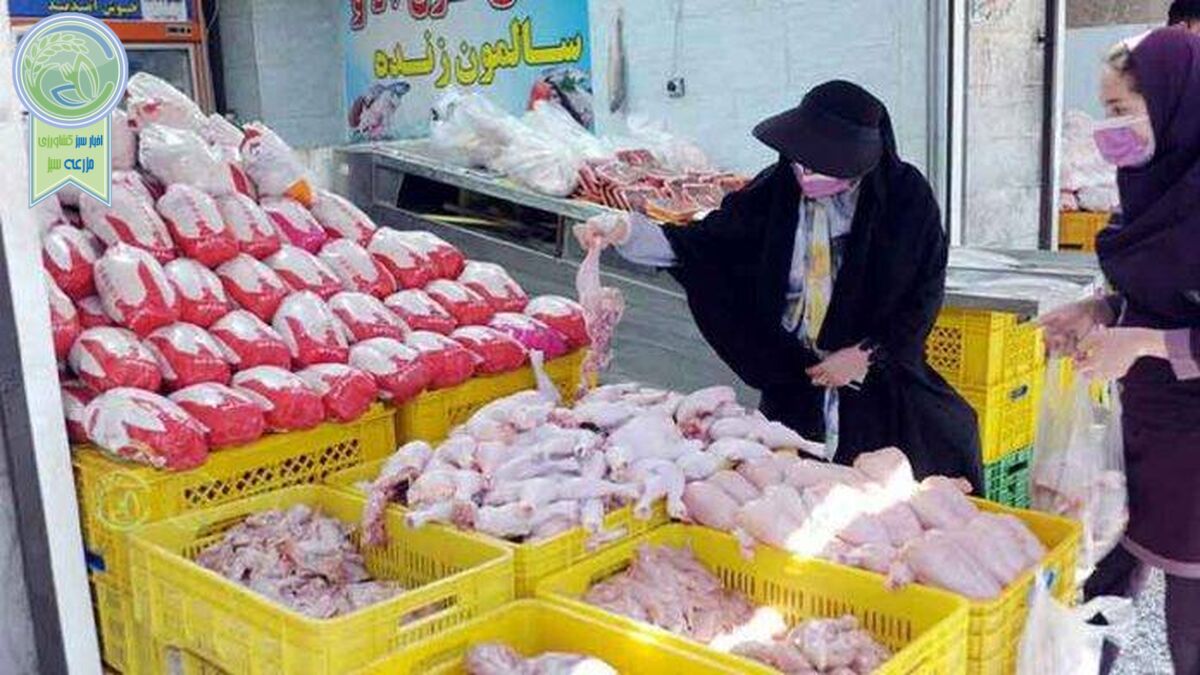 قیمت انواع مرغ در ۲۱ اسفند ۱۴۰۱