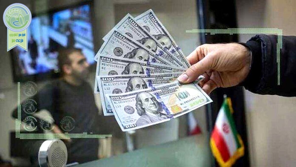 وابستگی قیمت دلار به اخبار سیاسی