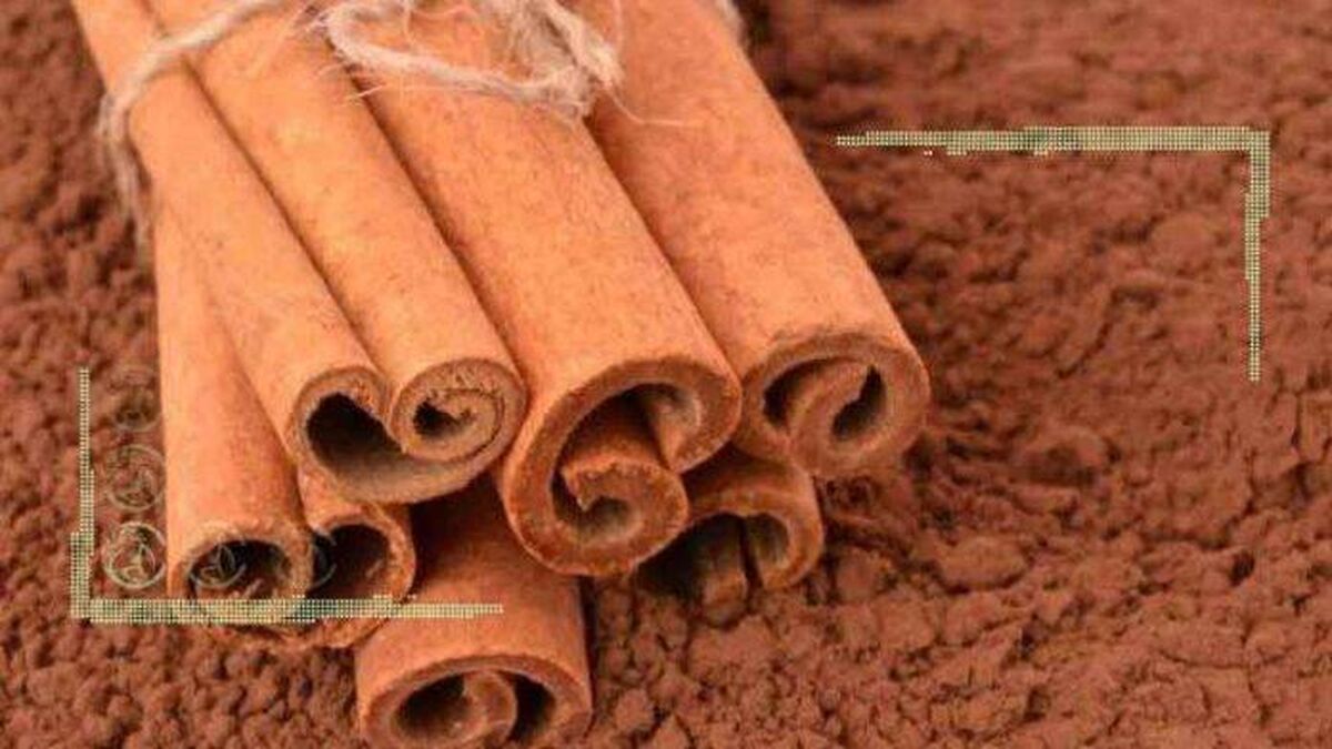 تاثیر دارچین در بهبود یادگیری و حافظه