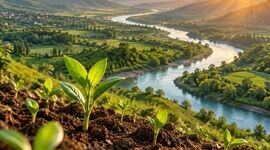 کارآفرینی اجتماعی؛ از خلق ارزش اجتماعی تا توسعه پایدار (۱۵)