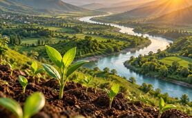 کارآفرینی اجتماعی؛ از خلق ارزش اجتماعی تا توسعه پایدار (۱۵)