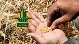 بیمه؛ بهترین محل برای پرداخت یارانه به کشاورزان
