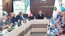 همه در مسیر بیمه فراگیر دام