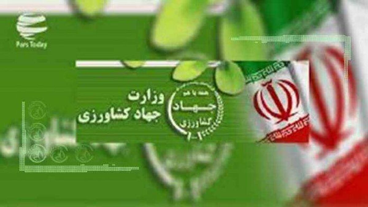 شفافیت وزارت جهاد کشاورزی در قراردادهای دولتی