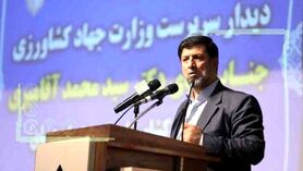 تصویب بودجه ۶ هزار میلیاردی برای بیمه محصولات کشاورزی