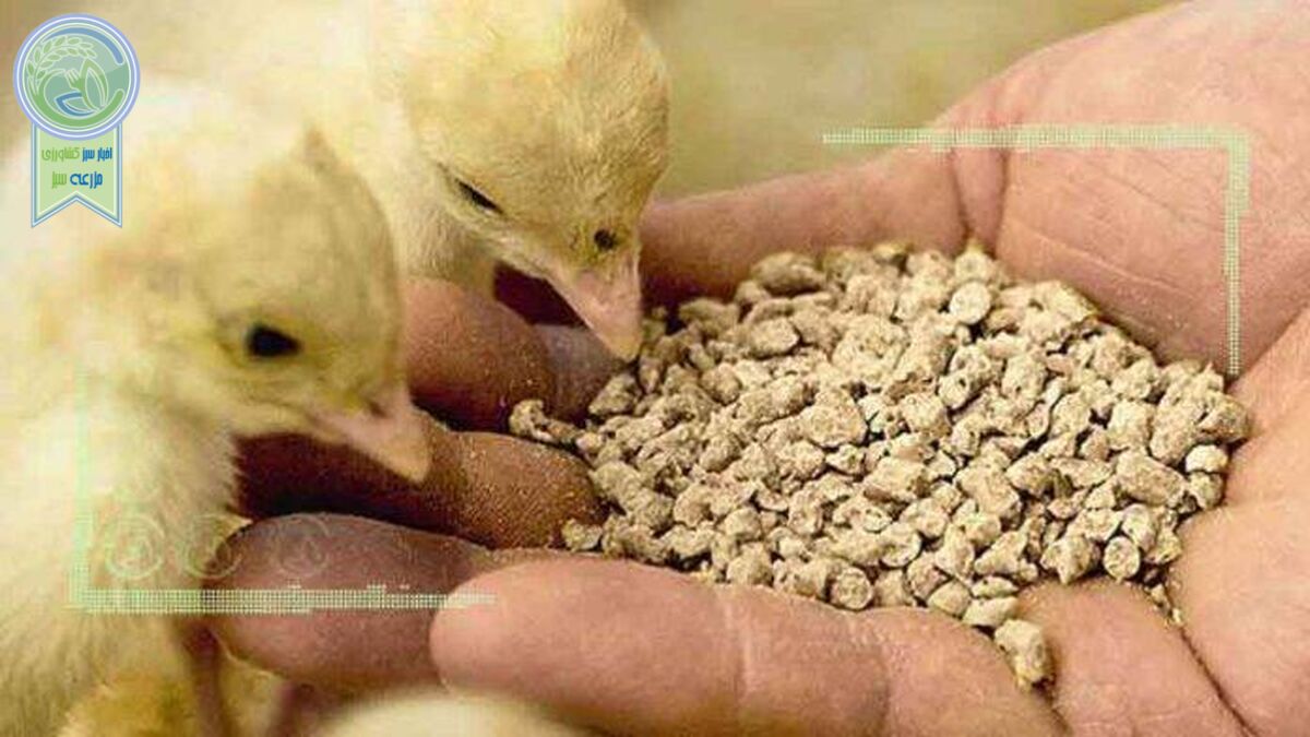 قیمت نهاده های دامی و کشاورزی ۲ خرداد ۱۴۰۲