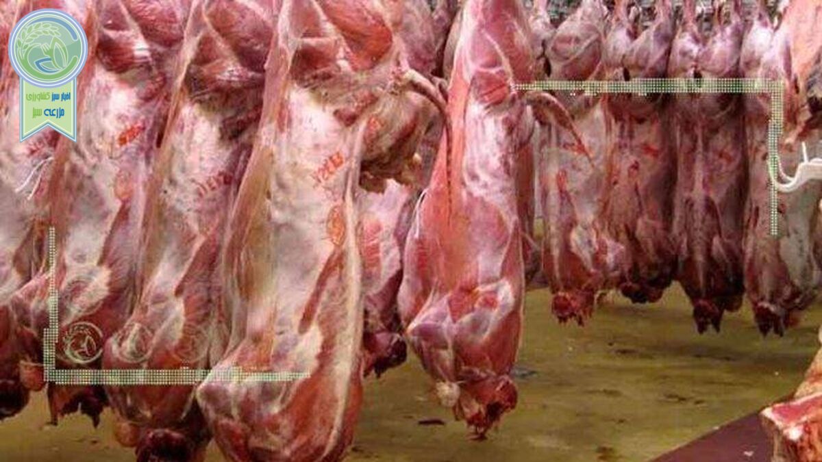 قیمت روز گوشت قرمز در ۱۰ خرداد ۱۴۰۲