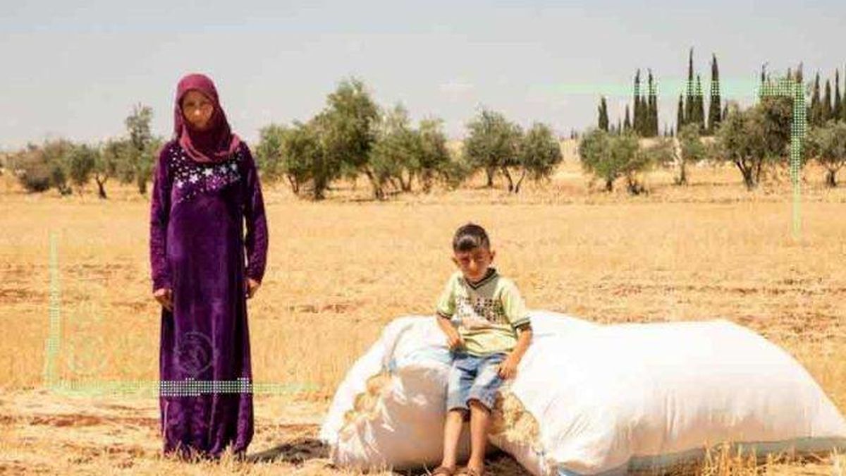 تراژدی کشاورزی در سوریه، بن‌بست اکولوژی و اقتصاد