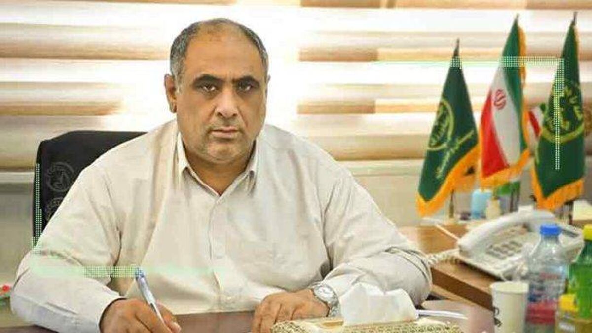 محمدعلی نیکبخت وزیر پیشنهادی جهاد کشاورزی شد