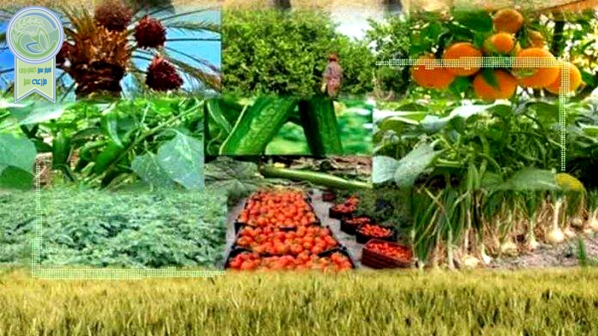 قیمت نهاده های دامی و کشاورزی ۲۵ خرداد ۱۴۰۲