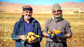 جزئیات مصوبه جدید حمایتی دولت از کشاورزان