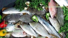 قیمت انواع ماهی ۱۵ تیر ۱۴۰۲