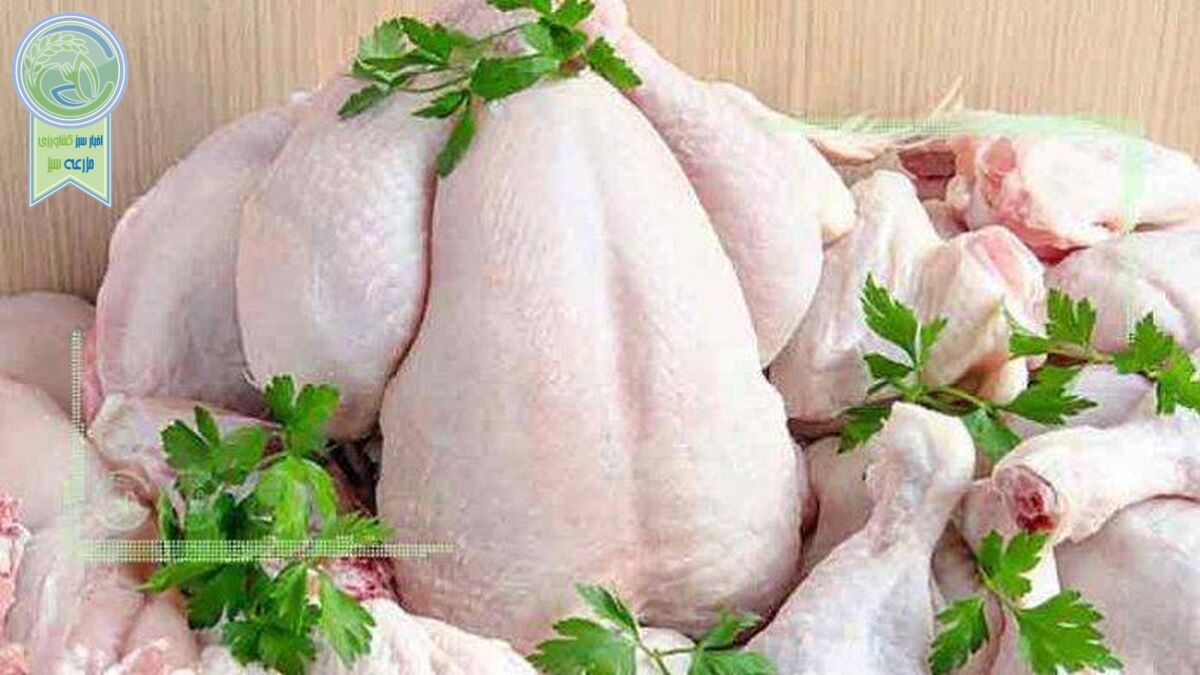 چرا قیمت هر کیلو مرغ به ۱۰۰هزار تومان رسید؟