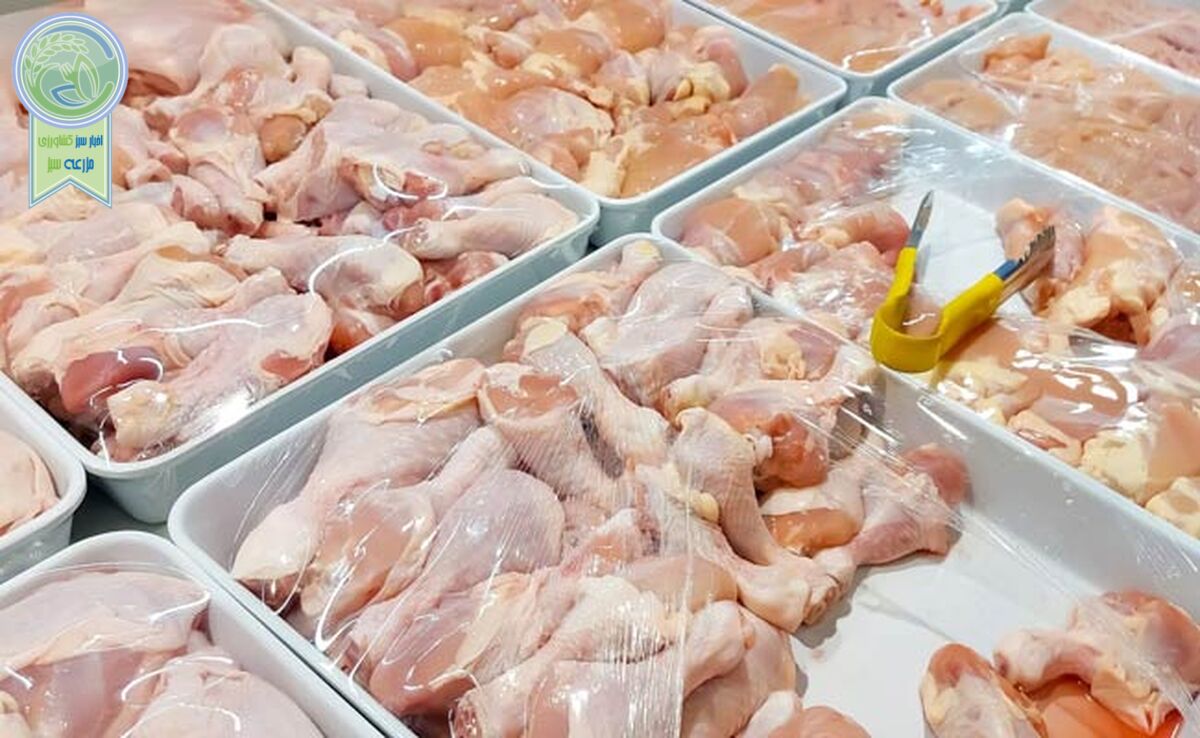 بازار مرغ باز هم بر مدار گرانی


