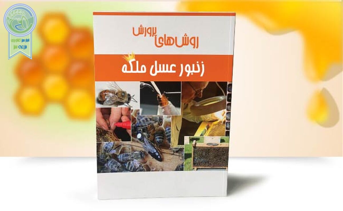 روش‌های پرورش زنبور عسل ملکه

