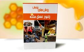 روش‌های پرورش زنبور عسل ملکه

