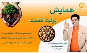 همایش «کشت برکت»؛ نسخه علمی برای افزایش عملکرد باغات پسته