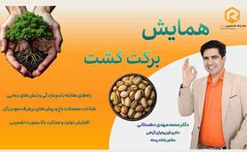 همایش «کشت برکت»؛ نسخه علمی برای افزایش عملکرد باغات پسته