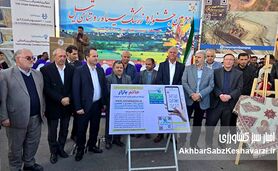 روستای تیل؛ نگین درخشان کشاورزی ایران و میزبان جشنواره ملی زرشک سیاه