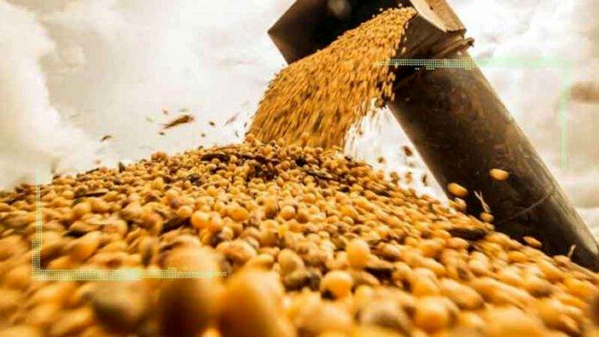 قیمت نهاده های دامی و محصولات کشاورزی ۲۵ تیر ۱۴۰۲