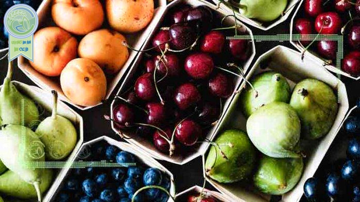 قیمت میوه و تره بار ۲۶ تیر ۱۴۰۲