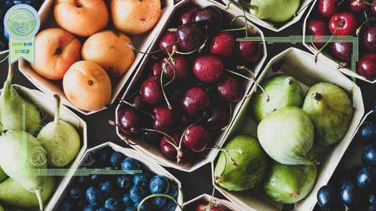 قیمت میوه و تره بار ۲۶ تیر ۱۴۰۲