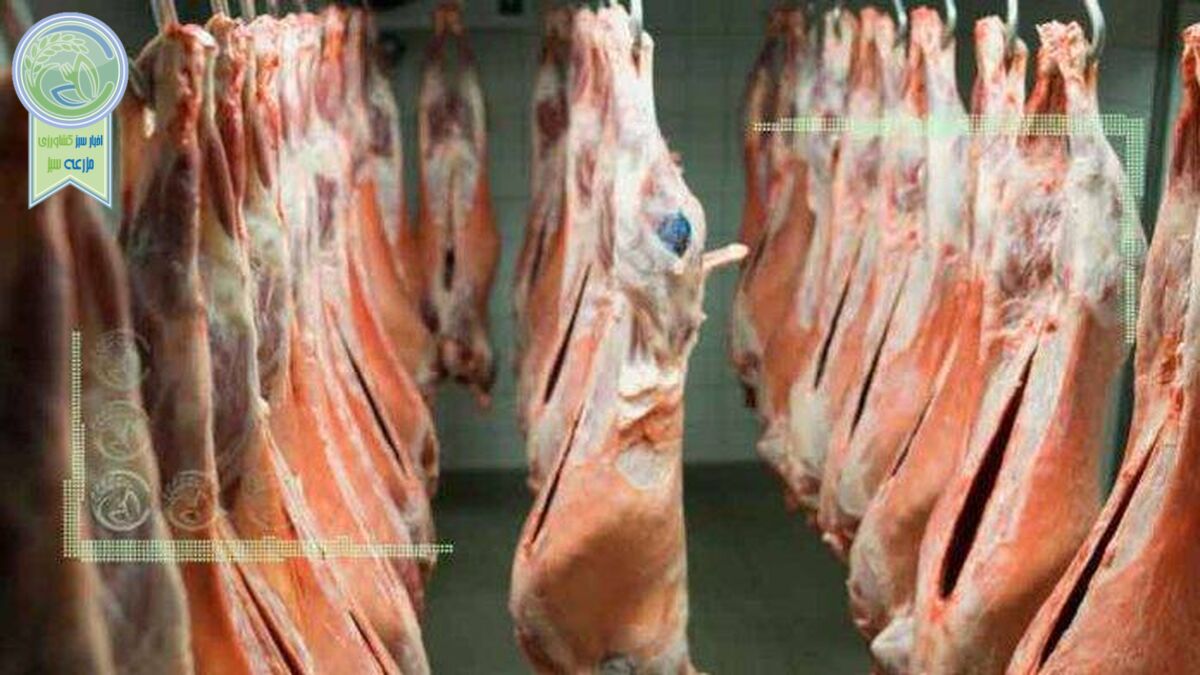 خرید گوشت از دامداران ادامه دارد یا خیر؟