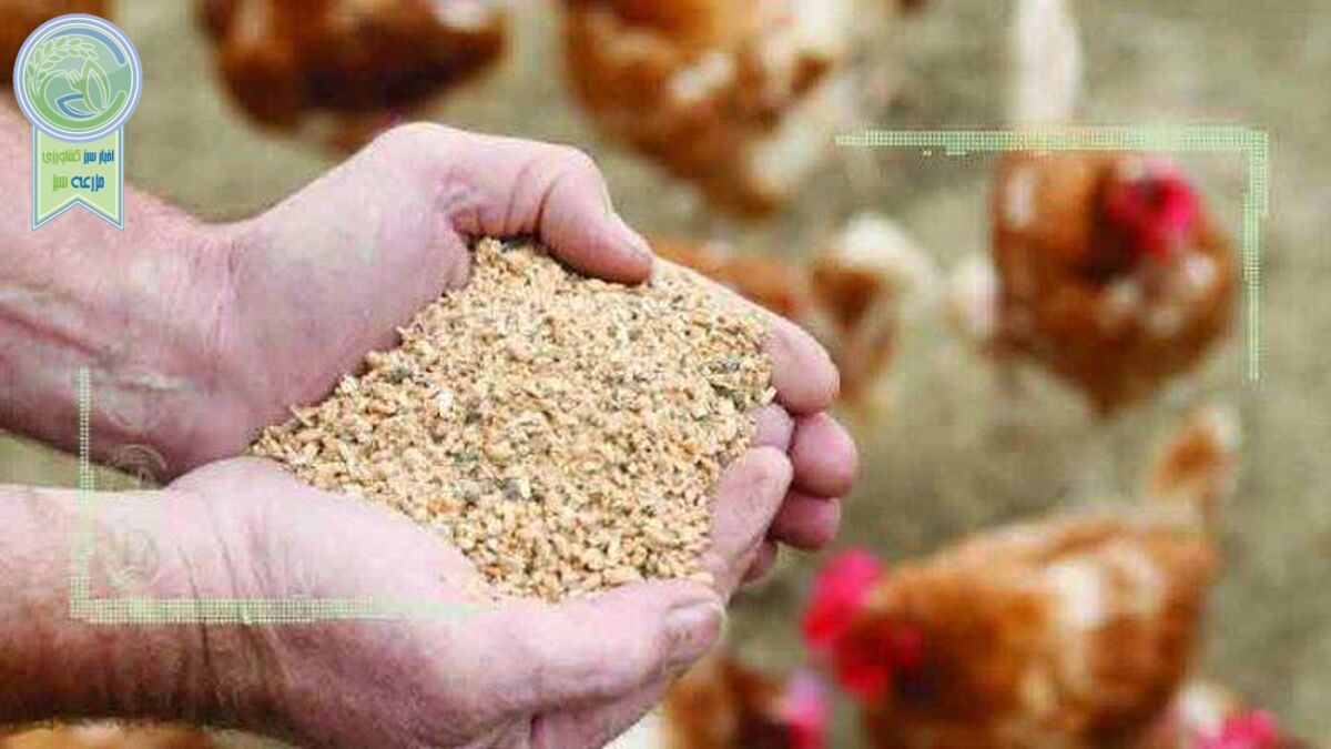 قیمت نهاده های دامی و کشاورزی ۲ شهریور ۱۴۰۲