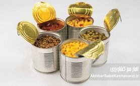 کنسرو کردن خانگی: از روش‌های سنتی تا علم روز؛ راهنمای جامع حفظ مواد غذایی