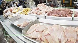 قیمت انواع مرغ در ۱۲ شهریور ۱۴۰۲