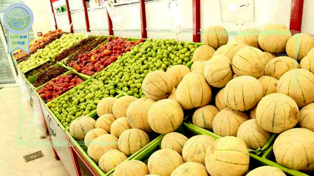 قیمت میوه و تره بار ۳۰ شهریور ۱۴۰۲