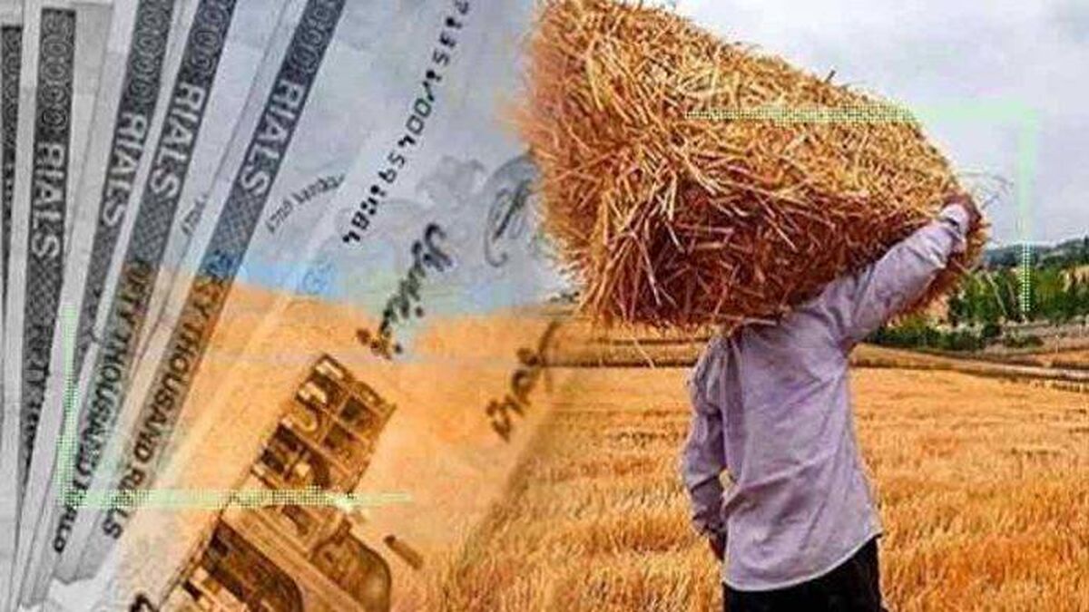 خرید تضمینی یا تقسیطی خرید محصولات کشاورزی